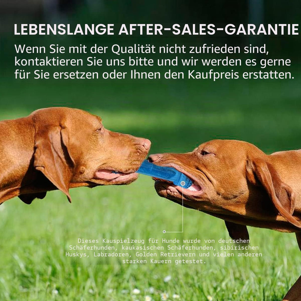 Kauspielzeug Welpe gefrierbar 1 Beissring 1 Knochen Hund Spielzeug Blau Kreis