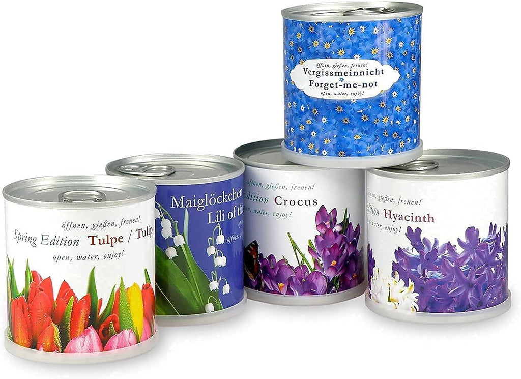 Vergissmeinnicht Anzuchtset Blumendose Pflanzset Geschenk