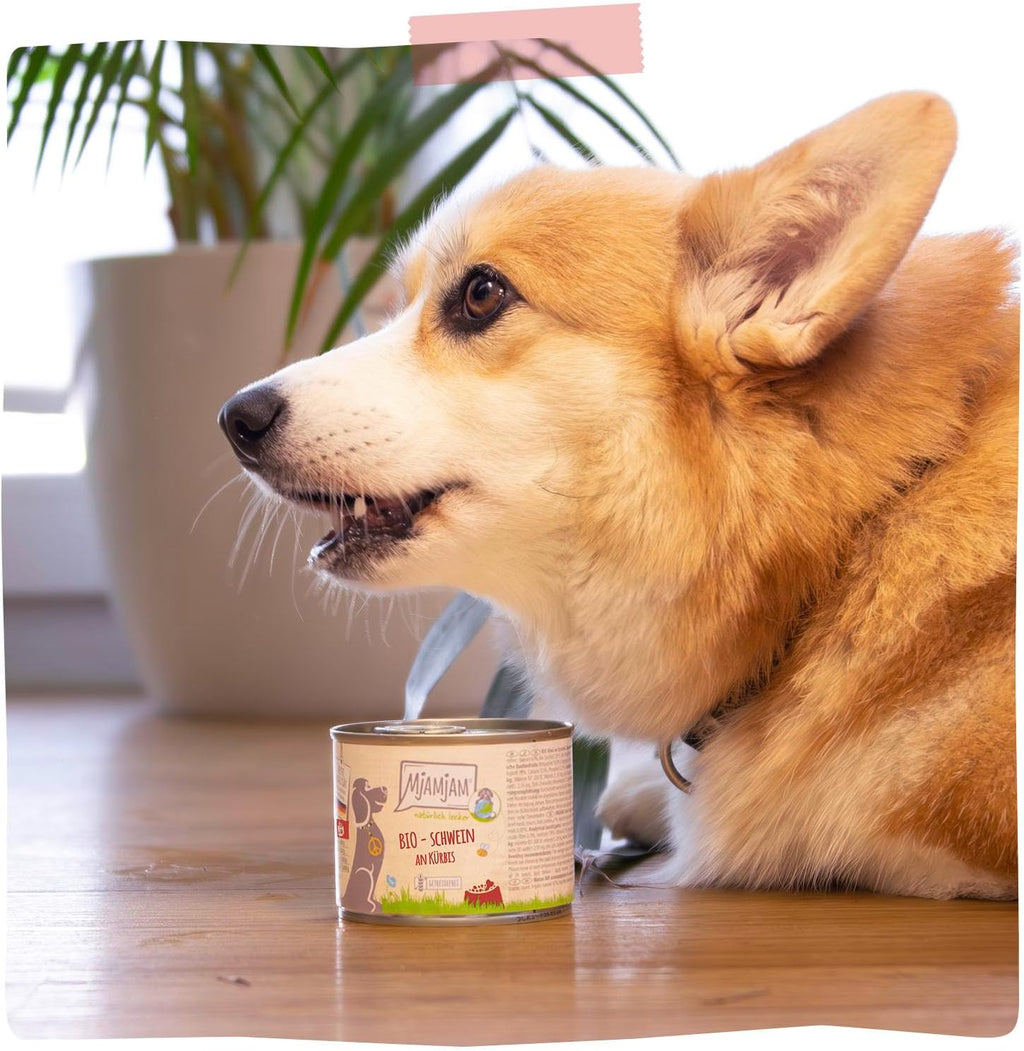 MjAMjAM Hundefutter Nassfutter Bio Huhn mit Moehrchen 6x400g getreidefrei -2