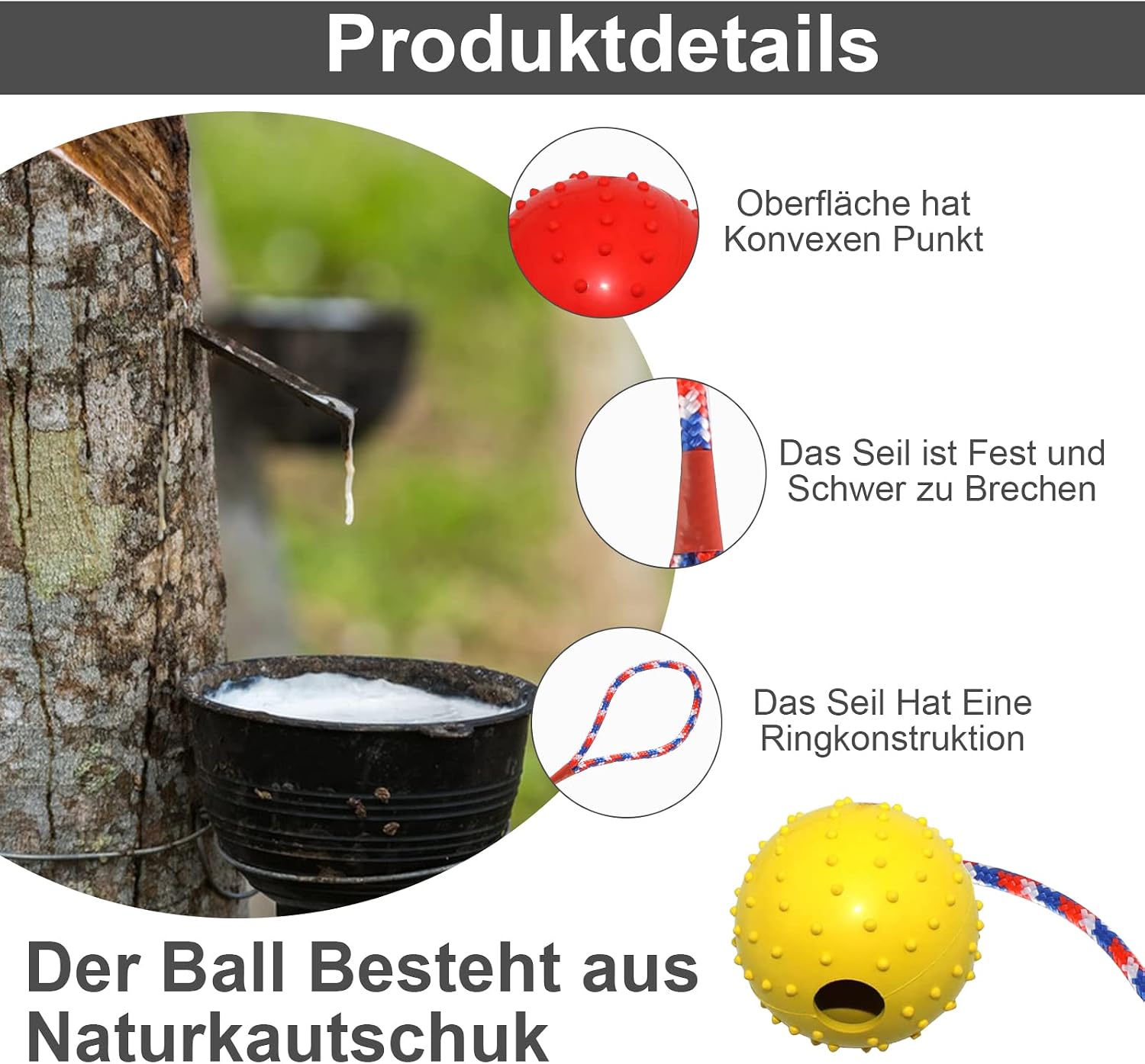 4x Hundeball mit Seil aus Naturkautschuk – robustes Hundespielzeug