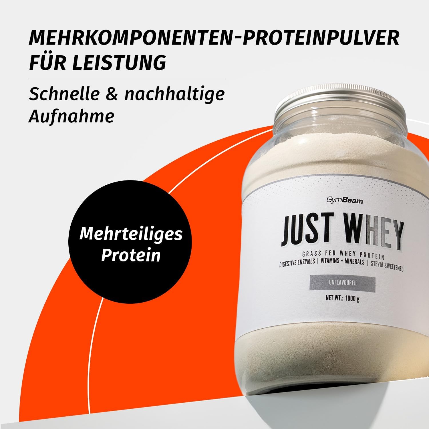 Just Whey Protein Pulver Banane mit Digezyme BCAA verschiedene Sorte