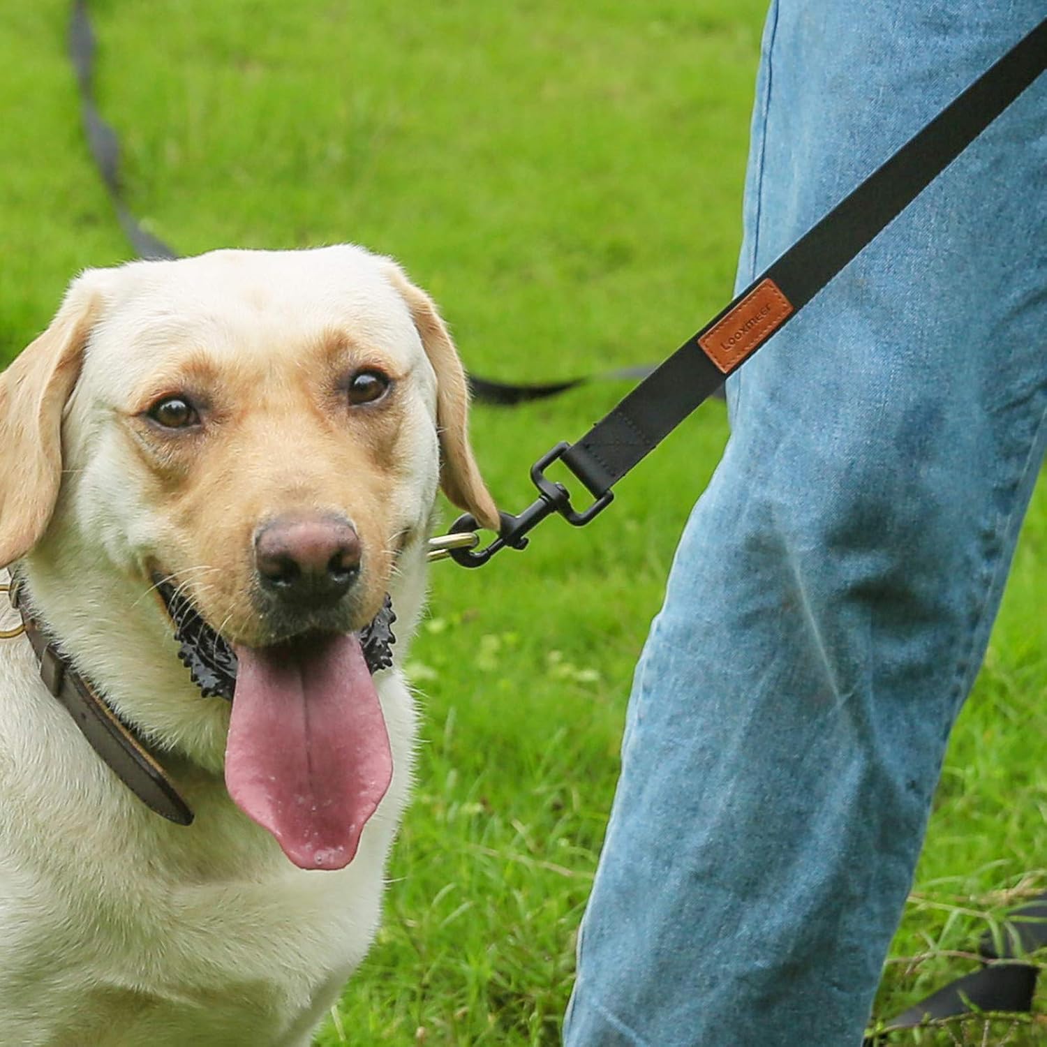 Schleppleine 3m-30m reissfest mit robuster Karabiner Hundetraining 3m-30m