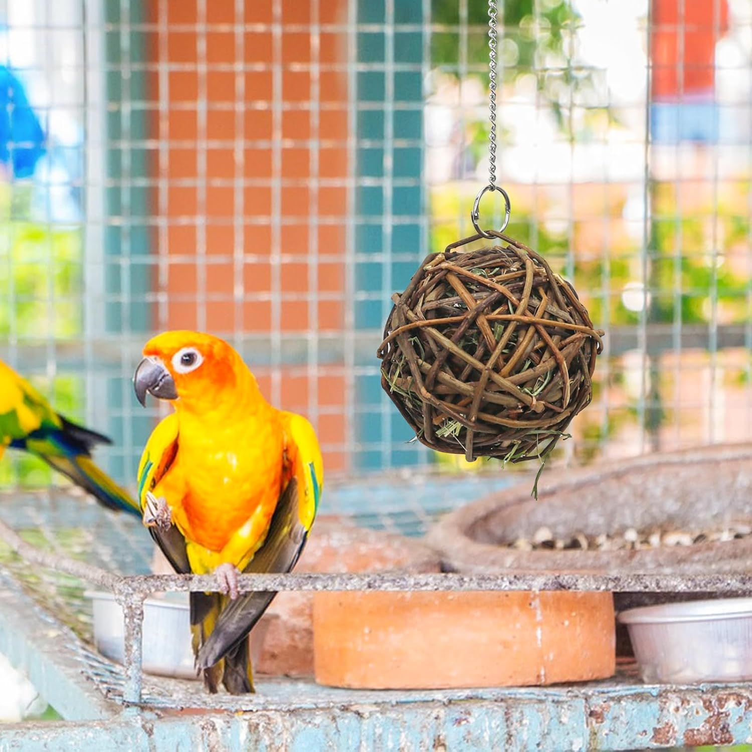 3x Weidenbälle Vogelspielzeug 10cm mit Heu Papagei Wellensittich Kauspiel