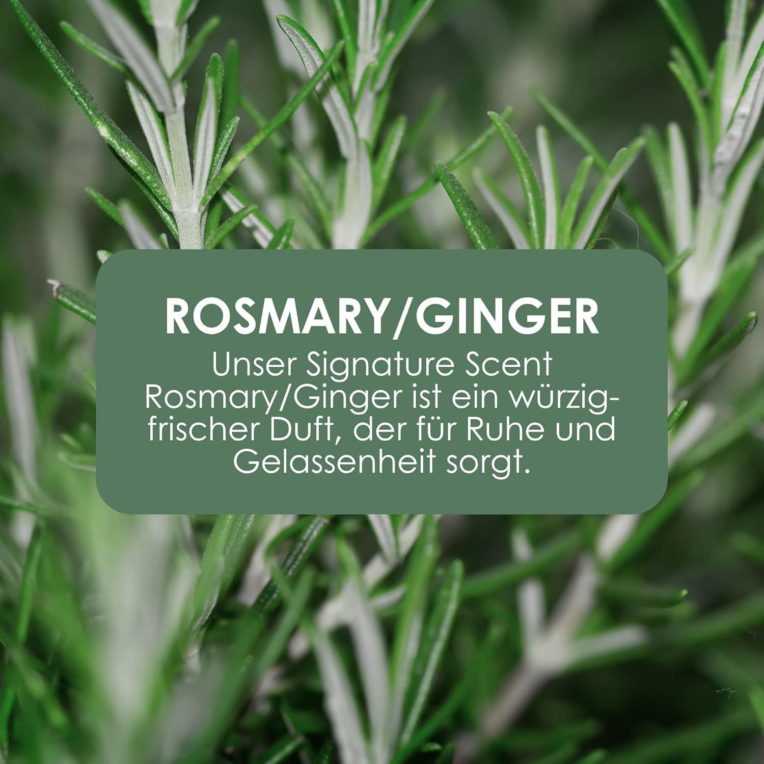 Jean & Len Handcreme Rosemary Ginger Urea vegan fuer trockene Haende