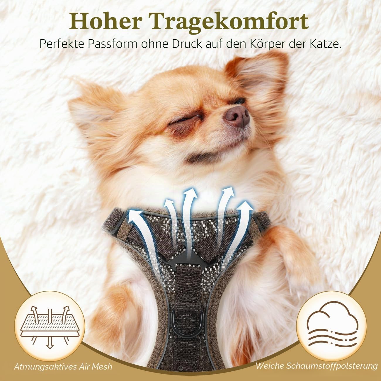 VavoPaw Katzen-Geschirr verstellbar XS-XL mit Leine, atmungsaktiv, reflektierend