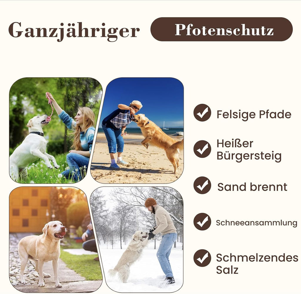 Pfotenbalsam Hund 68 g Stick Pfotenpflege Pfotenschutz regenerierend