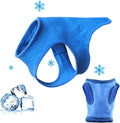 TYXHXTF Kuehlweste Hund M Blau mit Klettverschluss Kuehlmantel Sommer Outdoor