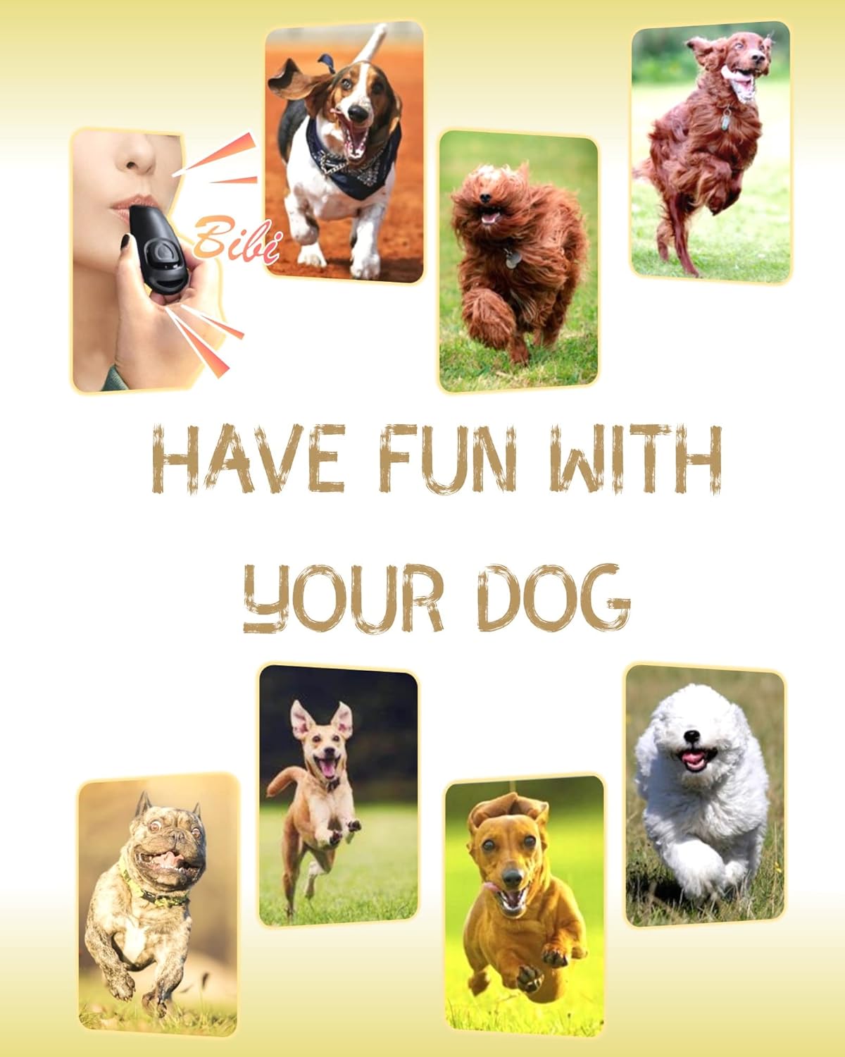 Ruetter Hundepfeife Hochfrequenz mit Clicker Set fuer Hundetraining