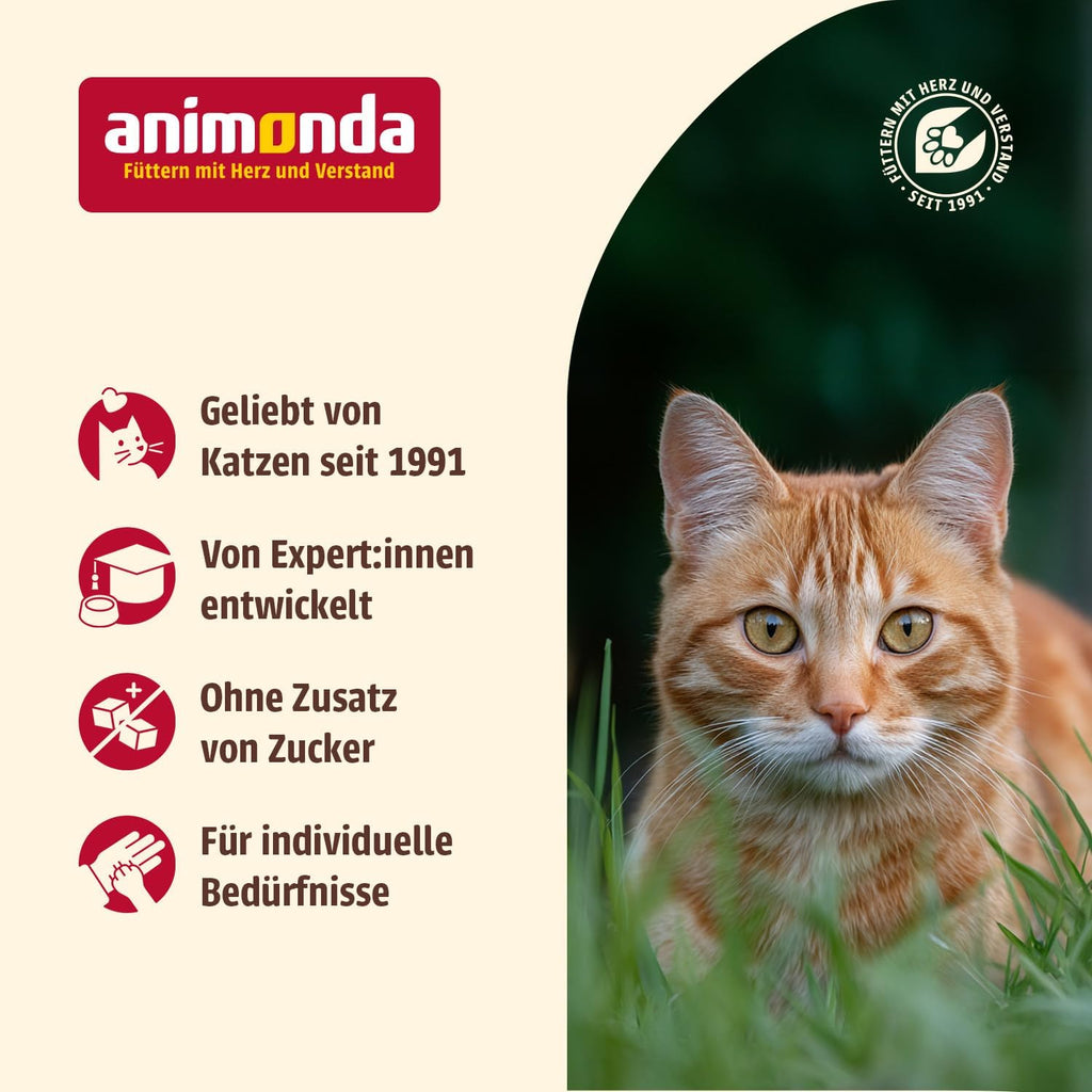animonda Carny Senior Katzenfutter Rind Huhn Kaese Nassfutter verschie
