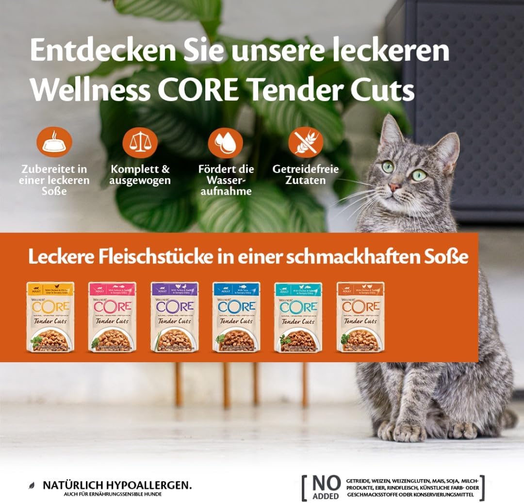 Wellness CORE Tender Cuts Katzennassfutter Truthahn Selection, verschiedene