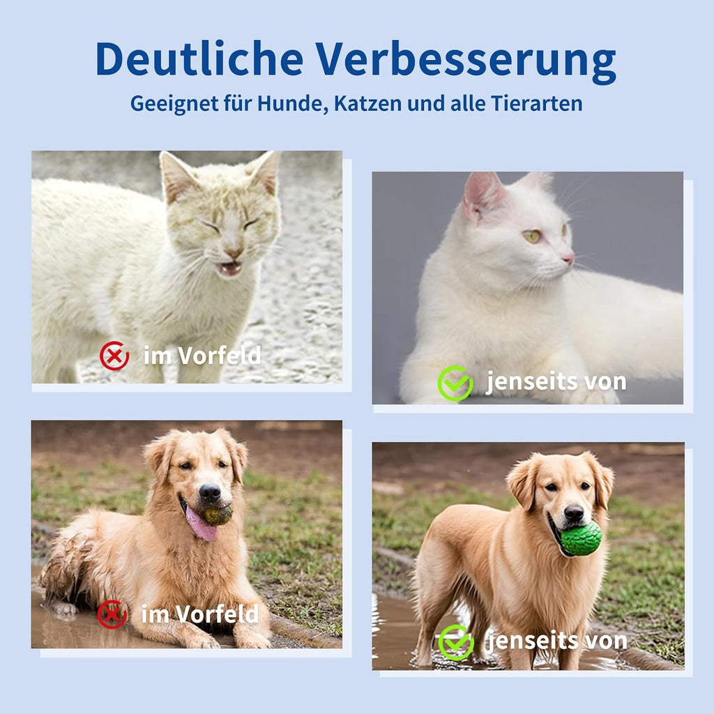 Petclear Fellpflegetuecher Handschuh 10er Pack fuer Hunde und Katzen hypoallergen