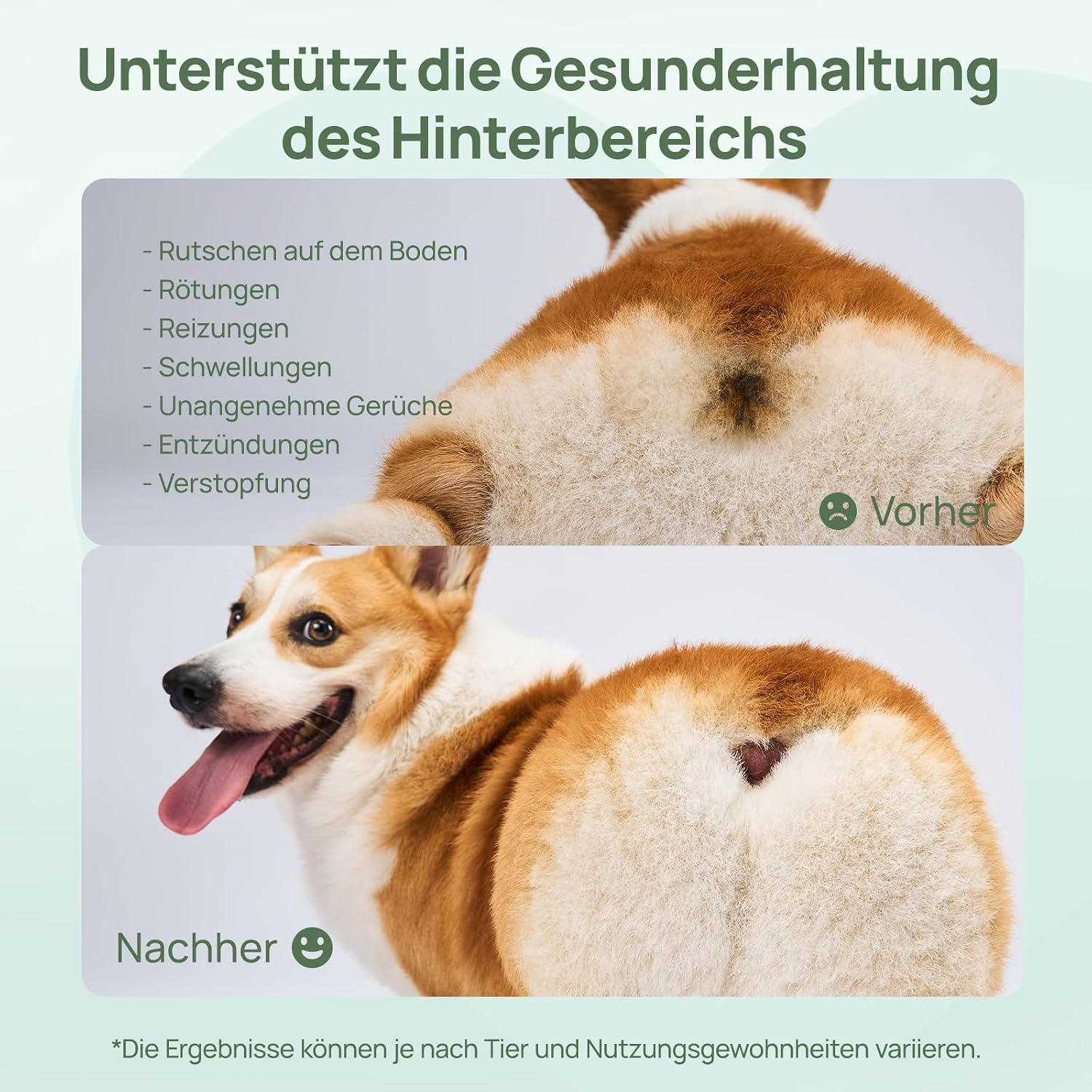 HICC PET Feuchttuecher fuer Hunde und Katzen 100 Stueck mit Kokosoel fuer Pfoten und Gesicht