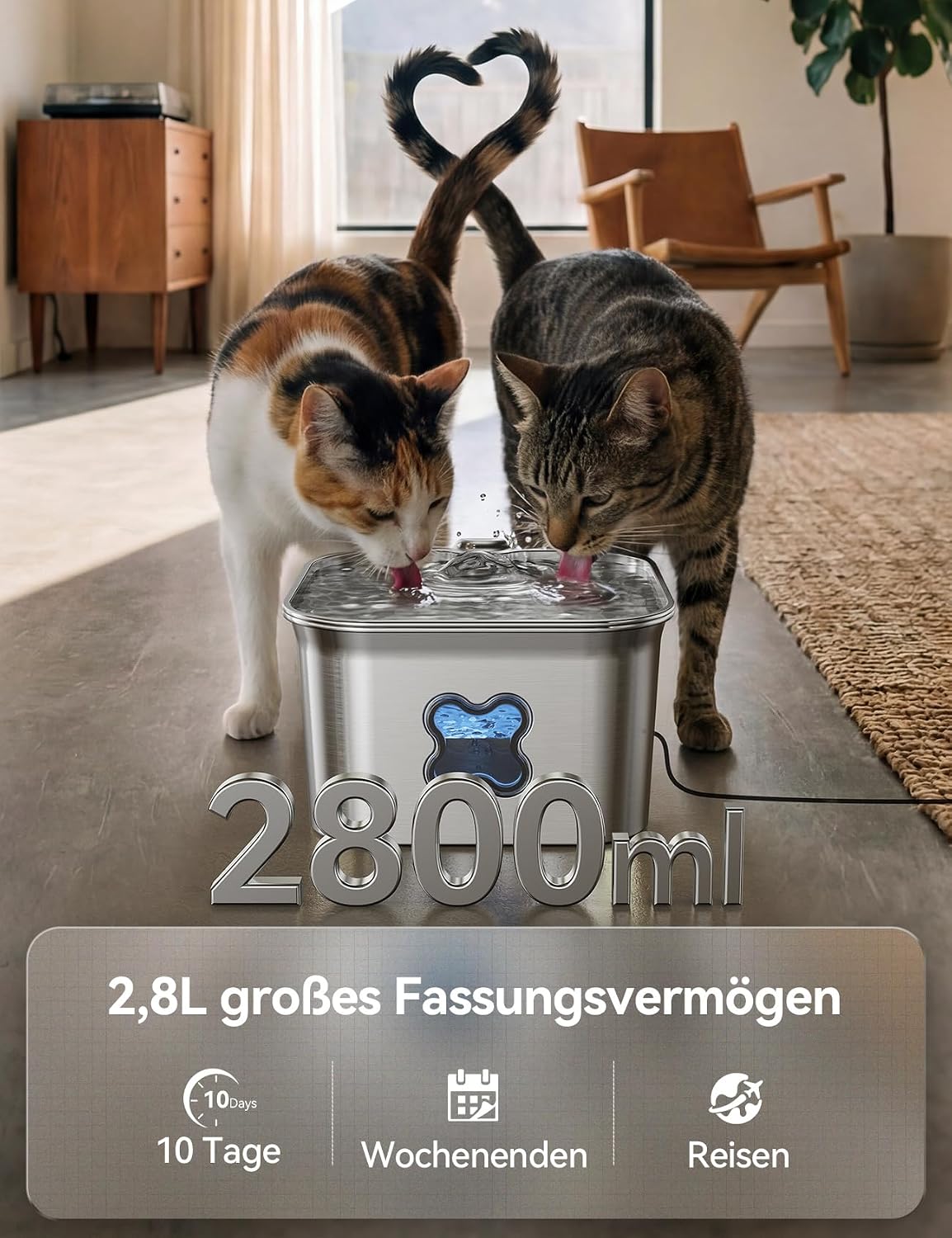 FEELNEEDY Katzenbrunnen Edelstahl 2,8L mit 4-fach Filter leise mit LED