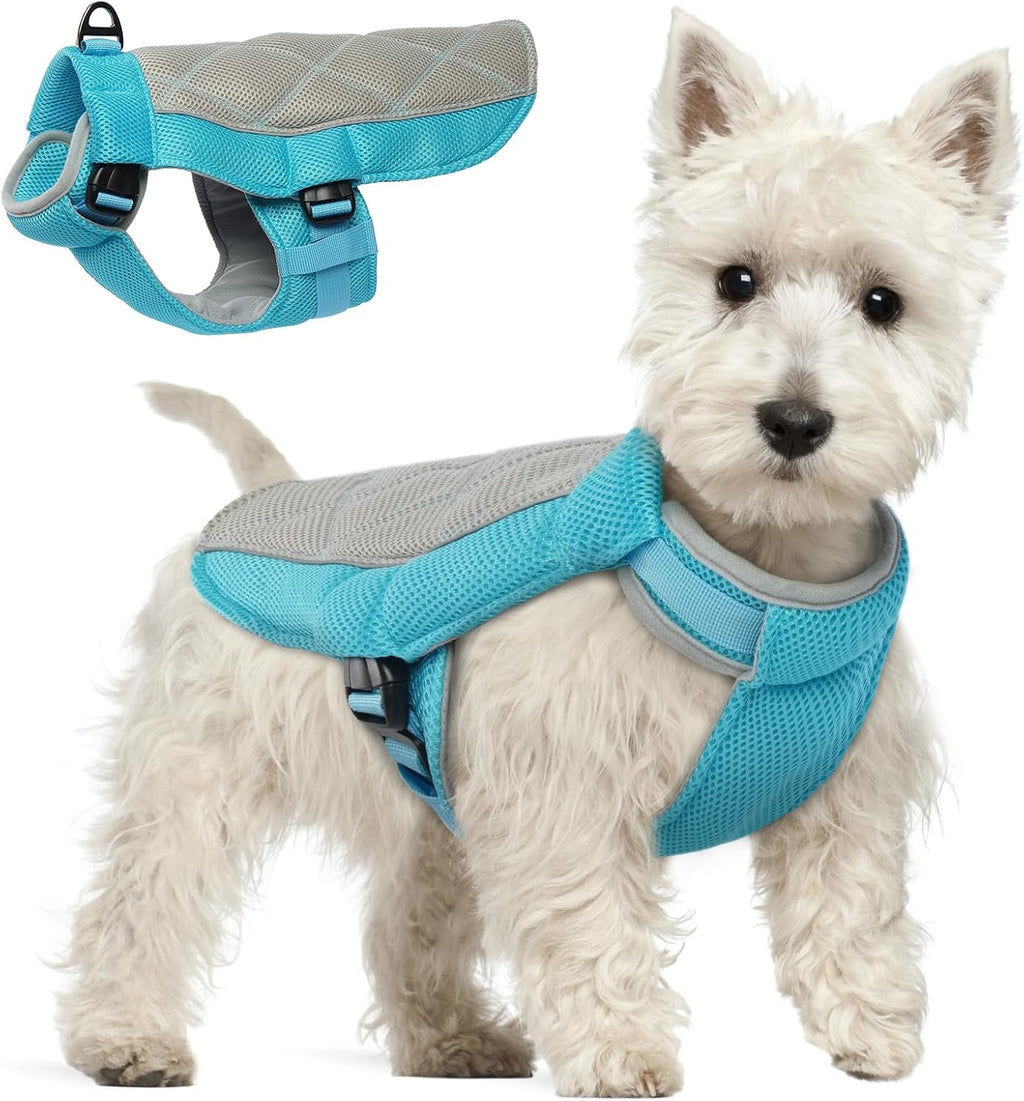 Hundekuehlweste Blau XS atmungsaktiv mit D-Ringen fuer den Sommer