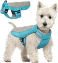 Hundekuehlweste Blau XS atmungsaktiv mit D-Ringen fuer den Sommer