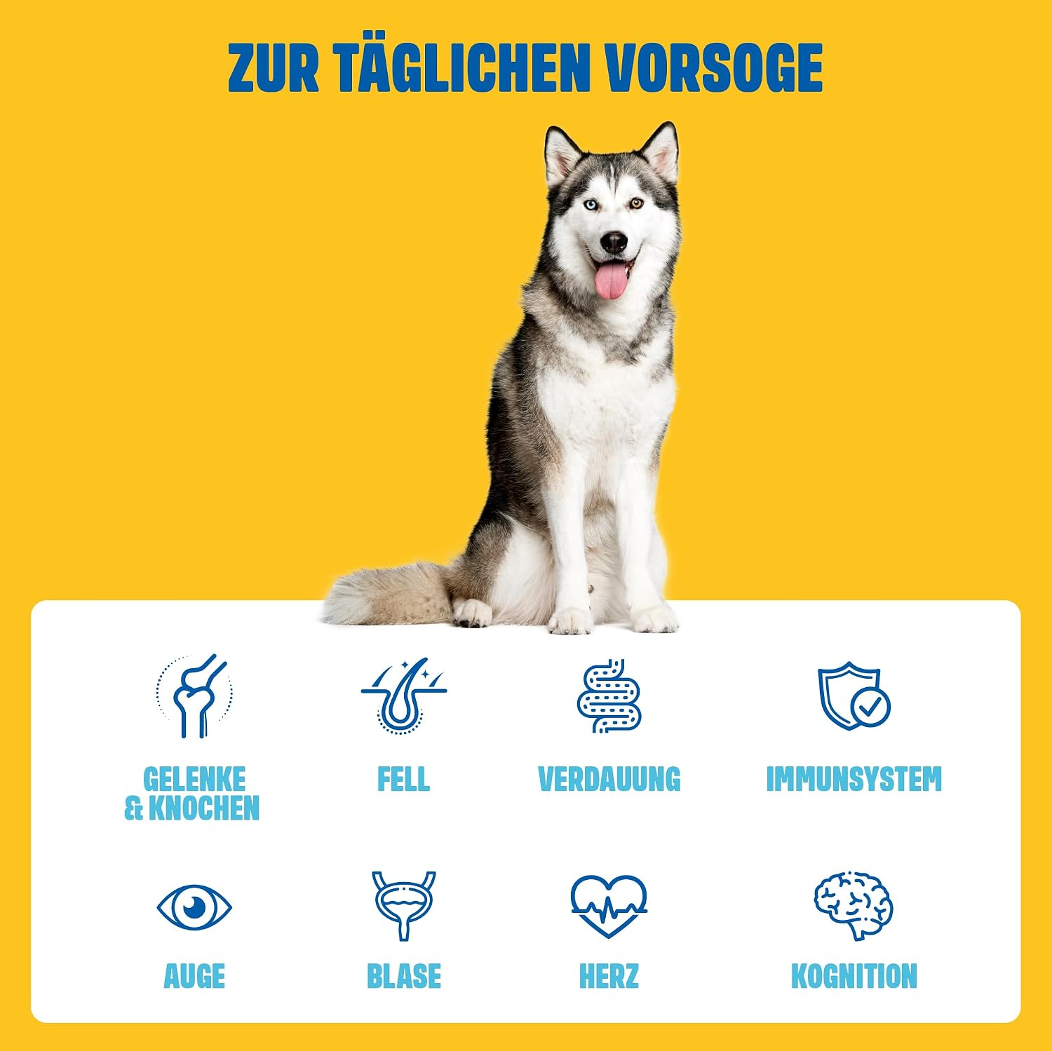 ivvi Multivitamin Hundeleckerli 270 g (60 Stück) mit Huhn, Probiotika, Omega‑3