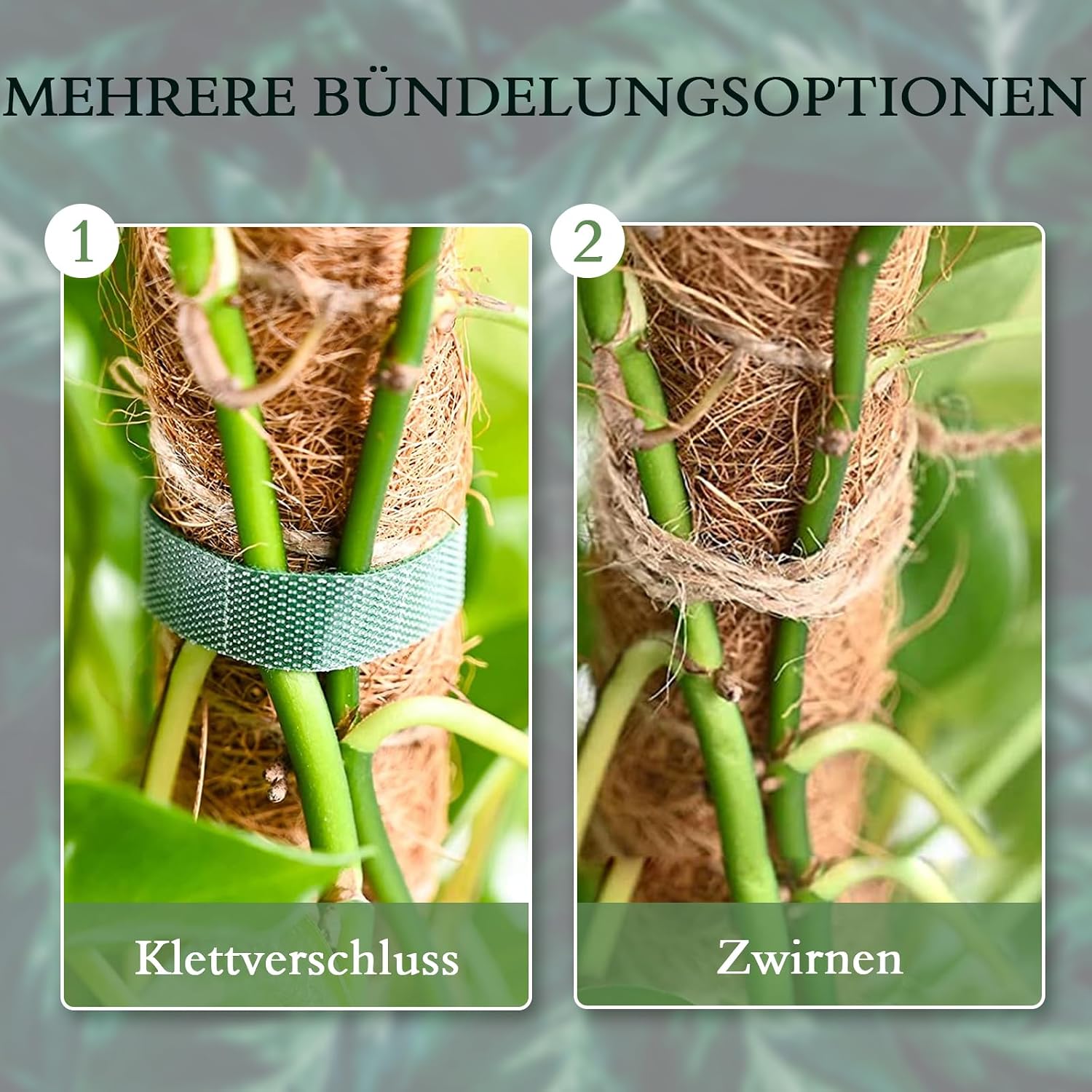 Monstera Moosstab 120 cm Kokosfaser biegsame Rankhilfe Pflanzenstuetze