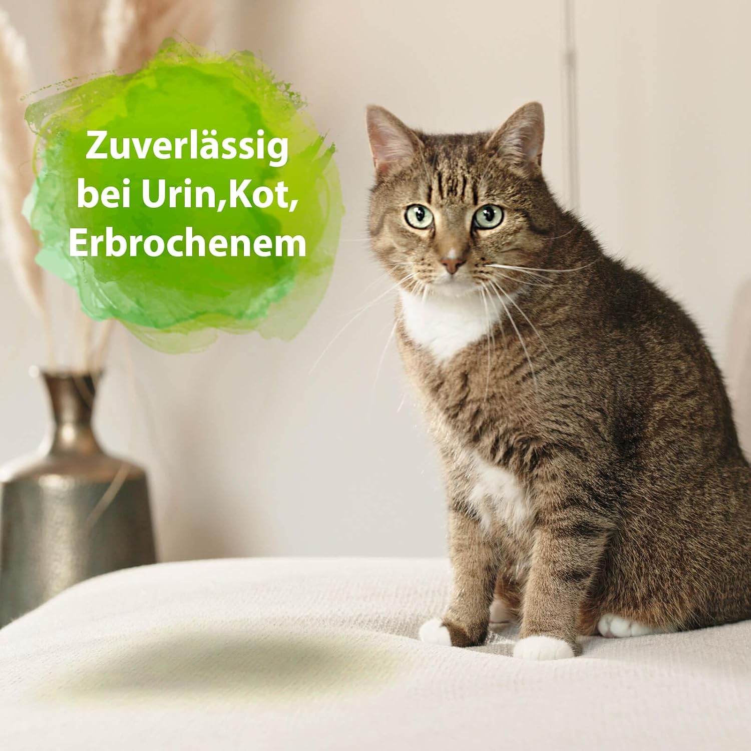Bactador Enzymreiniger Spray Geruchsentferner fuer Nagerkaefige