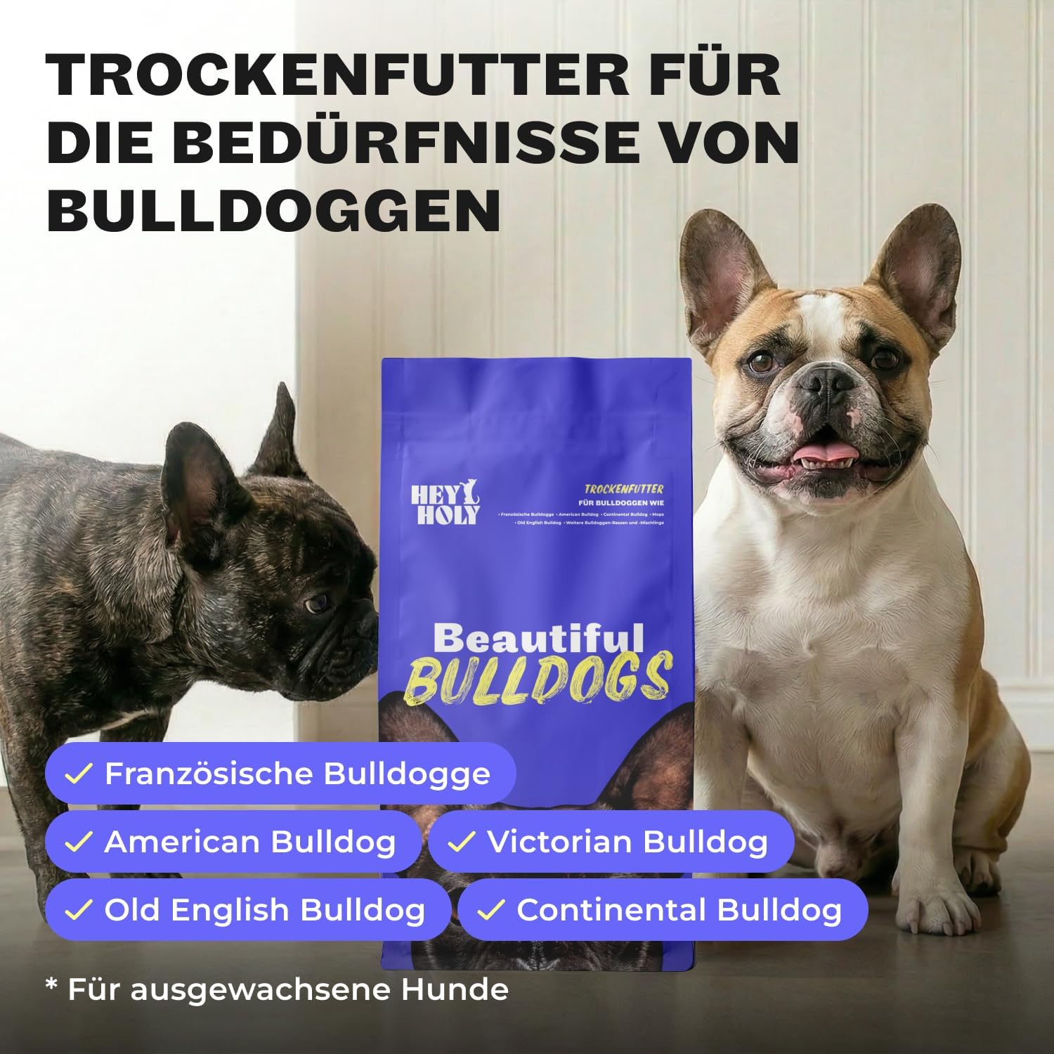 Hey Holy Bulldoggen Trockenfutter getreidefrei hypoallergen mit Lachs