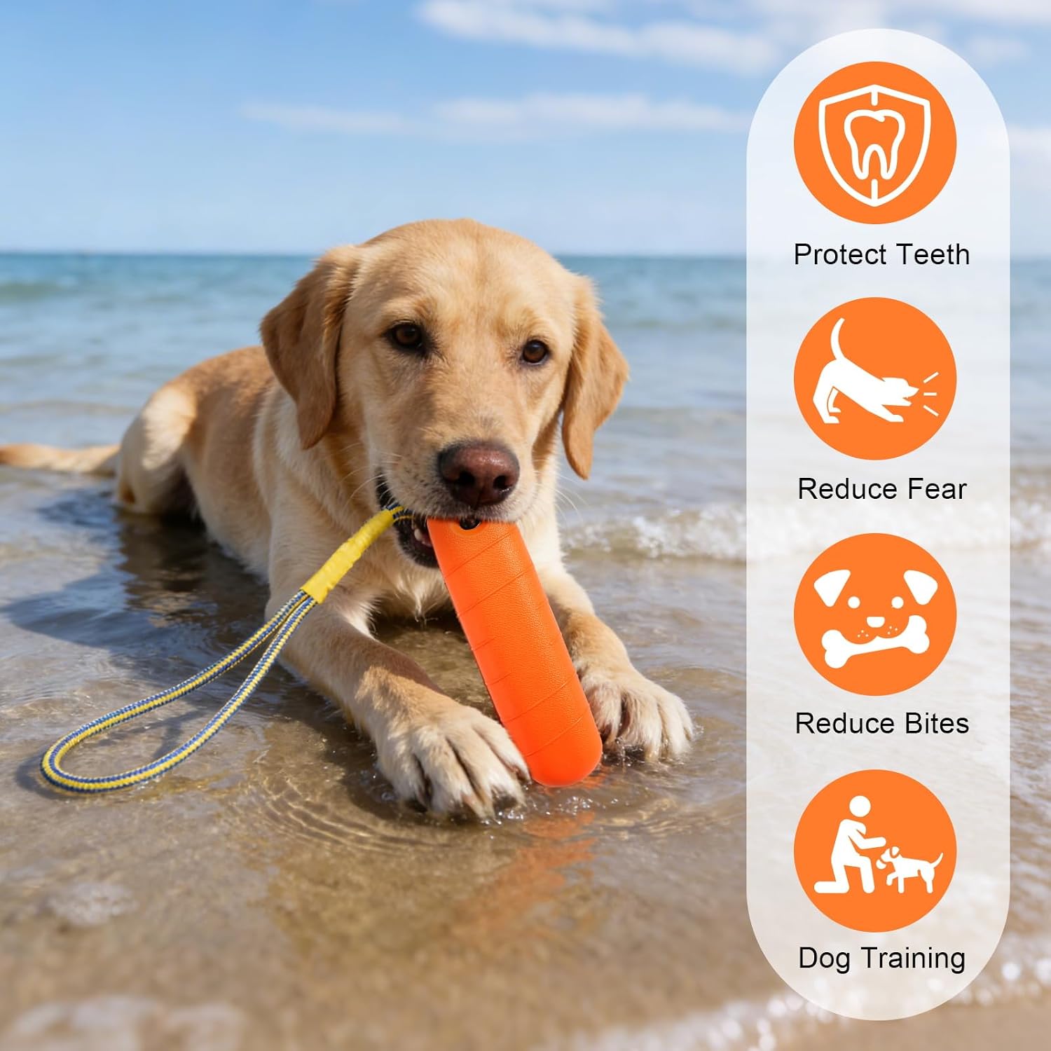 DUTIFUL Hundespielzeug Wasserspielzeug schwimmend mit Nylonseil Gr. Mittel/Gross