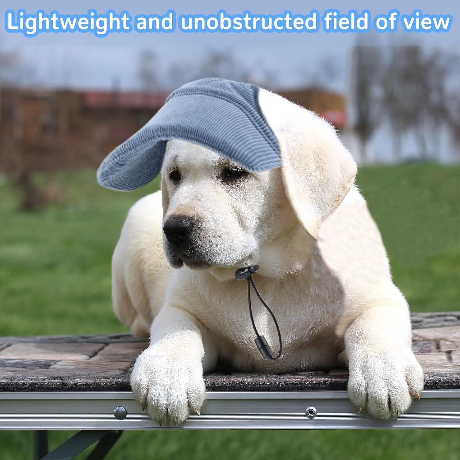 Hundehut verstellbar XS-XL mit Ohrloechern Sonnenschutz Baseballmuetze