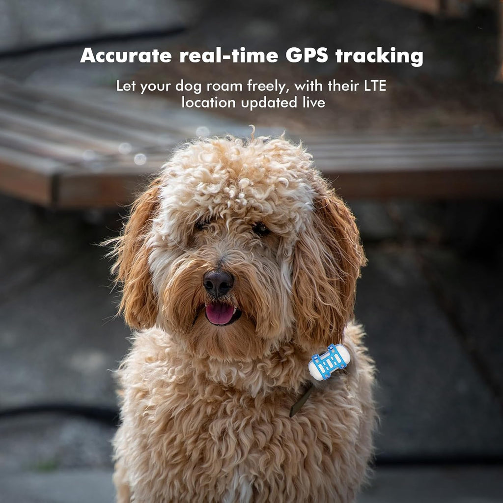 GPS Tracker fuer Hunde 4G wasserdicht mit Echtzeit-Ortung und App Live Tracking