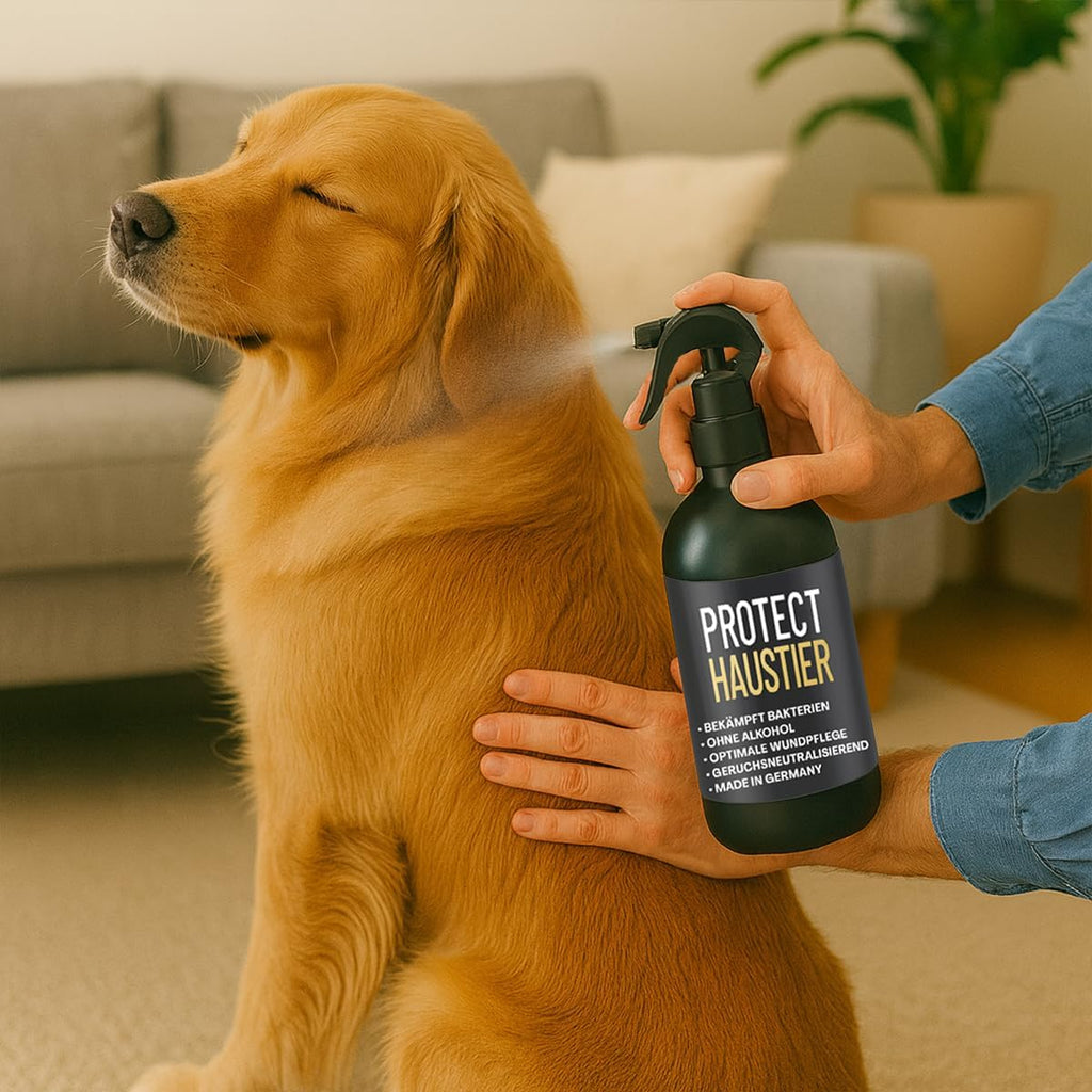PROTECT Haustier Desinfektionsspray 500 ml alkoholfrei für Hunde und Katzen