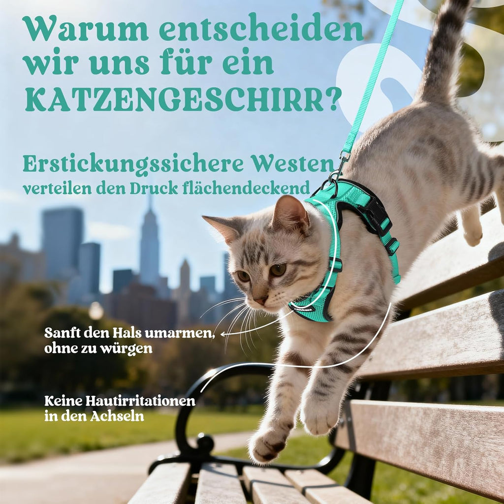 rabbitgoo Katzen Geschirr mit Leine verstellbar reflektierend weich XS Schwarz