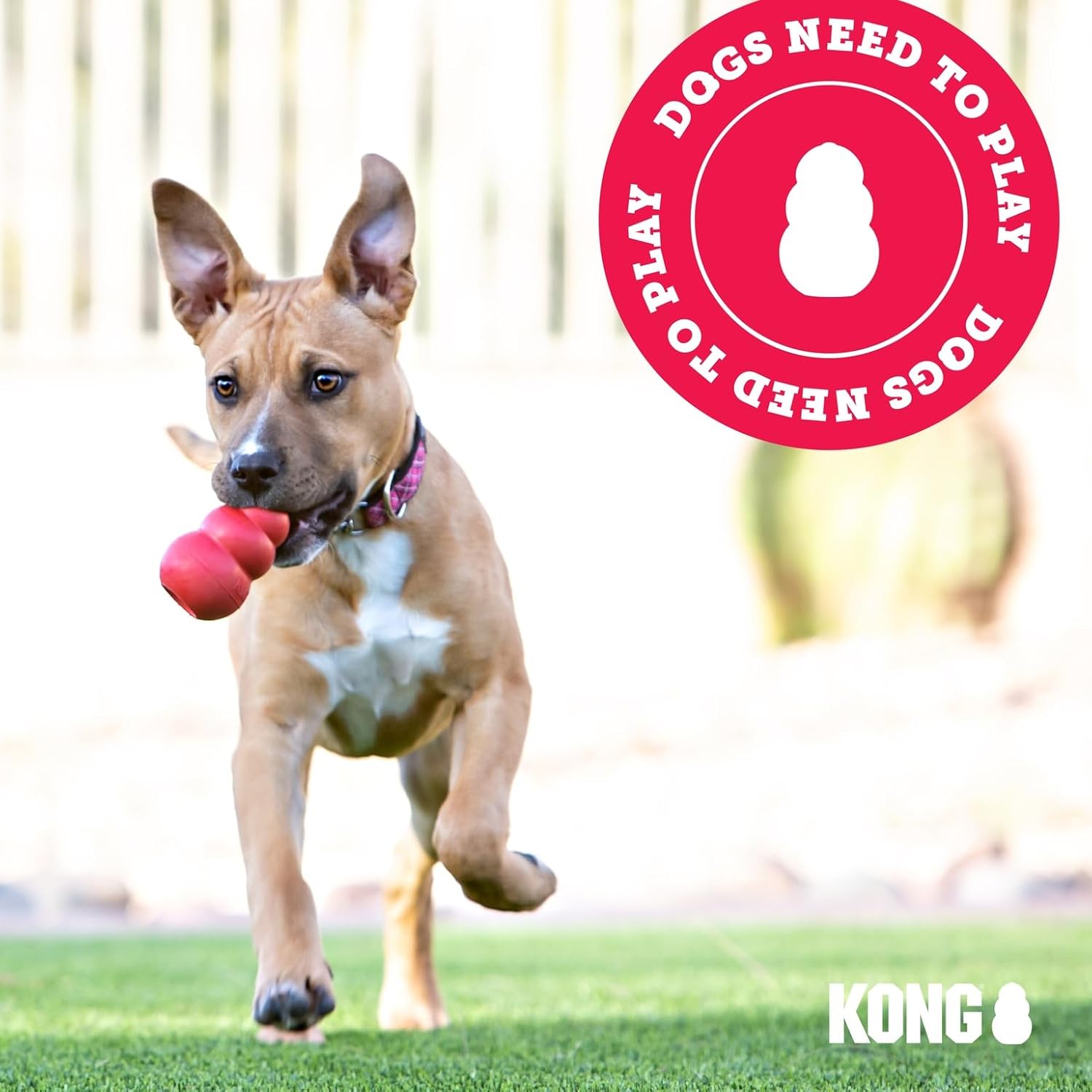 KONG Flyer Wurfscheibe aus Naturkautschuk fuer Hunde