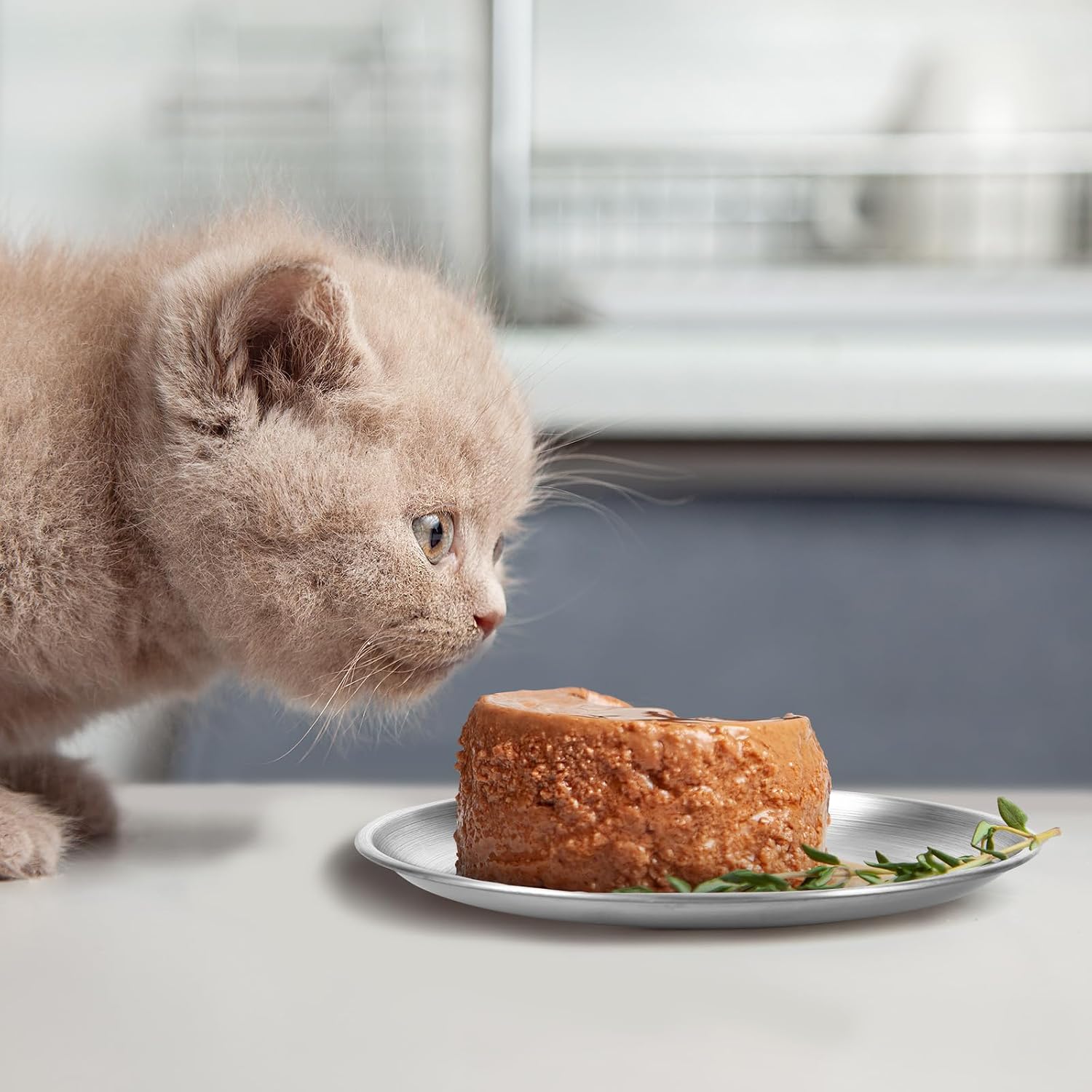 Edelstahl Katzennapf flach 6er Set Futternapf rutschfest spuelmaschinenfest