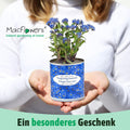 Vergissmeinnicht Anzuchtset Blumendose Pflanzset Geschenk
