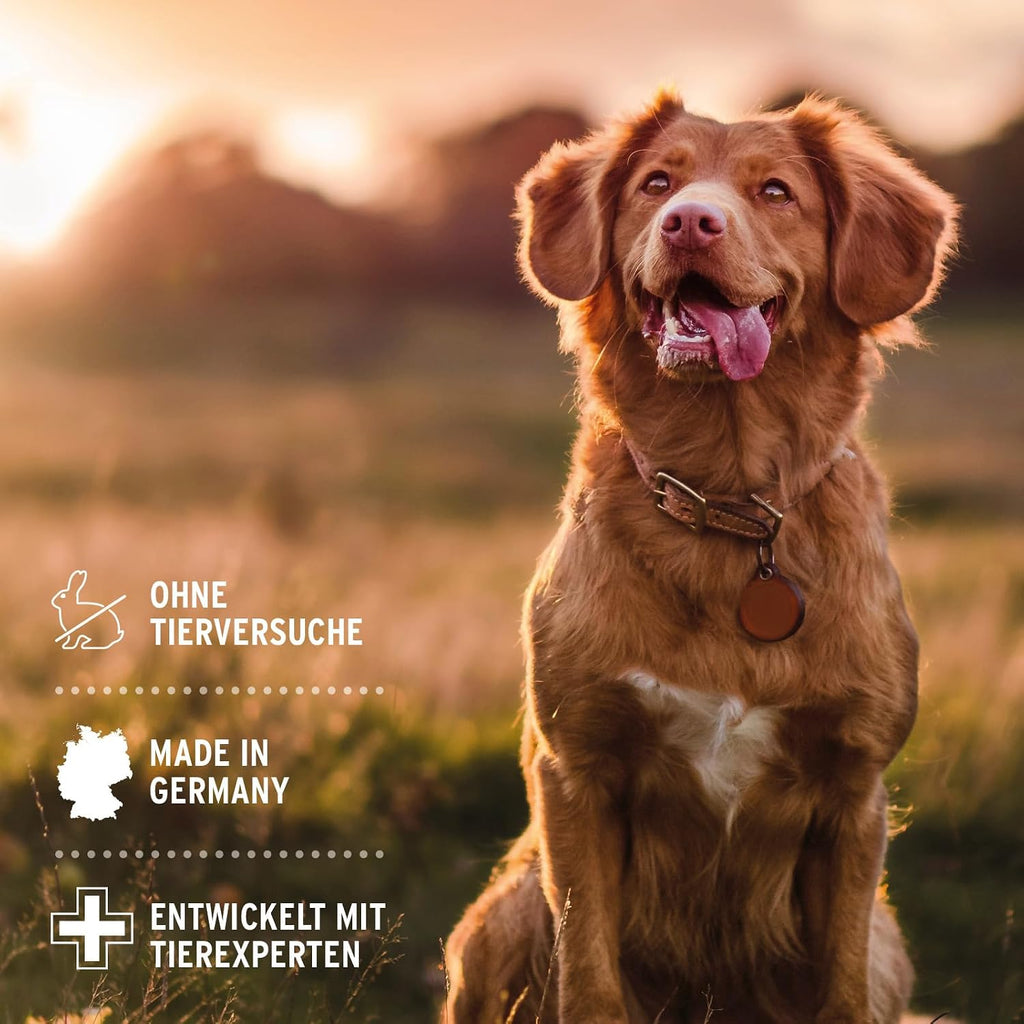 AniForte Neemoel Hundeshampoo 500 ml gegen Juckreiz Floehe Zecken pflegend
