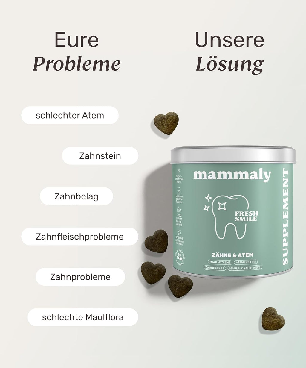 mammaly Fresh Smile Hundezahnpflege Leckerli 10-in-1 verschiedene Sort