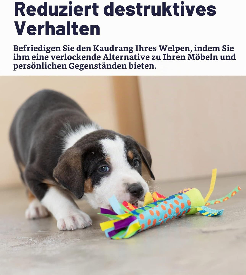 Petstages Kauknochen fuer Welpen - Hundespielzeug fuer den Zahnwechsel