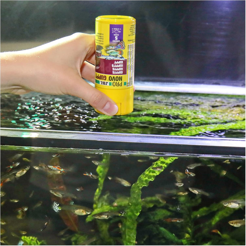 JBL ProNovo Guppy Grano Futtergranulat Groesse S |