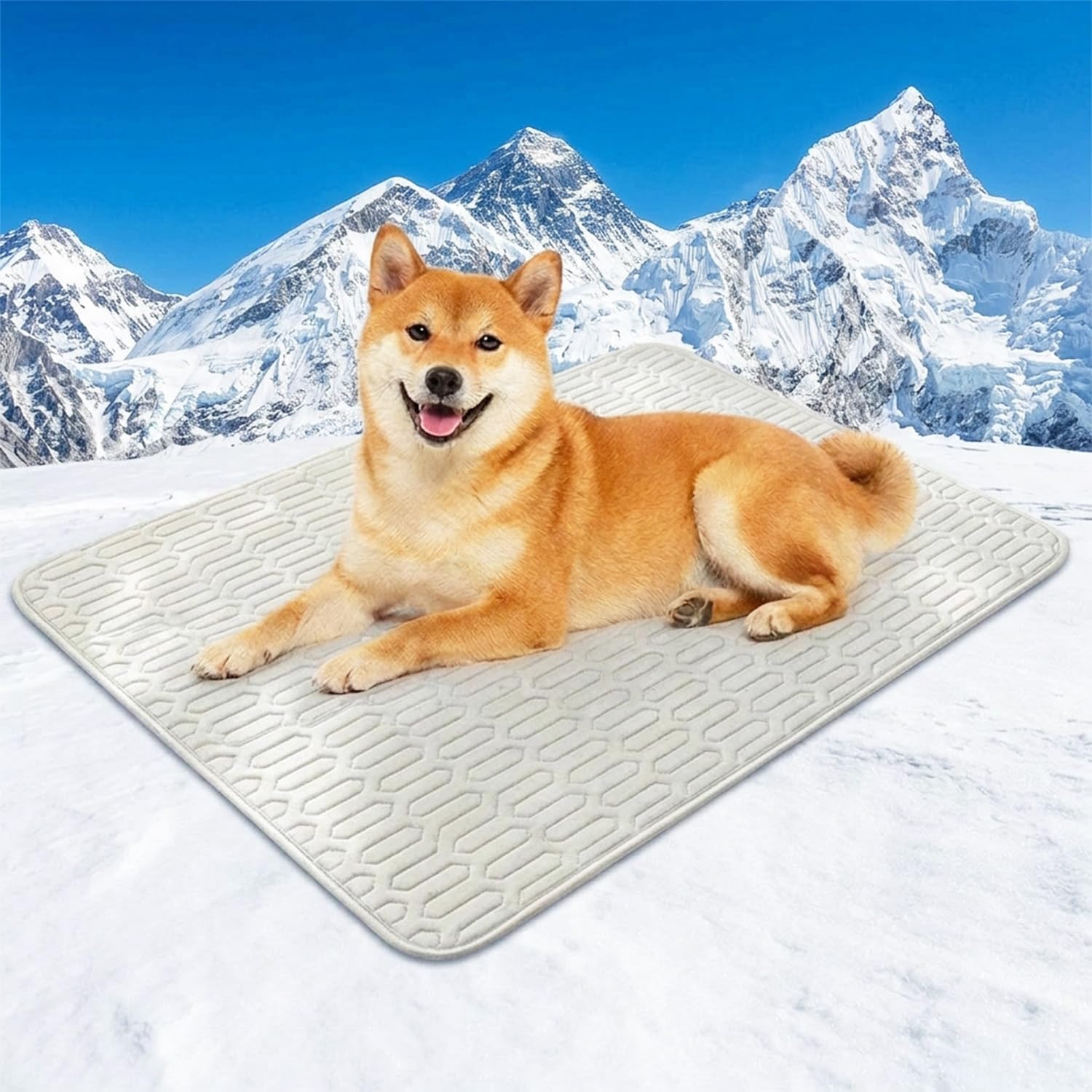 Kuehlmatte Hund 100x70 cm selbstkuehlend faltbar waschbar fuer Auto Zuhause Reise