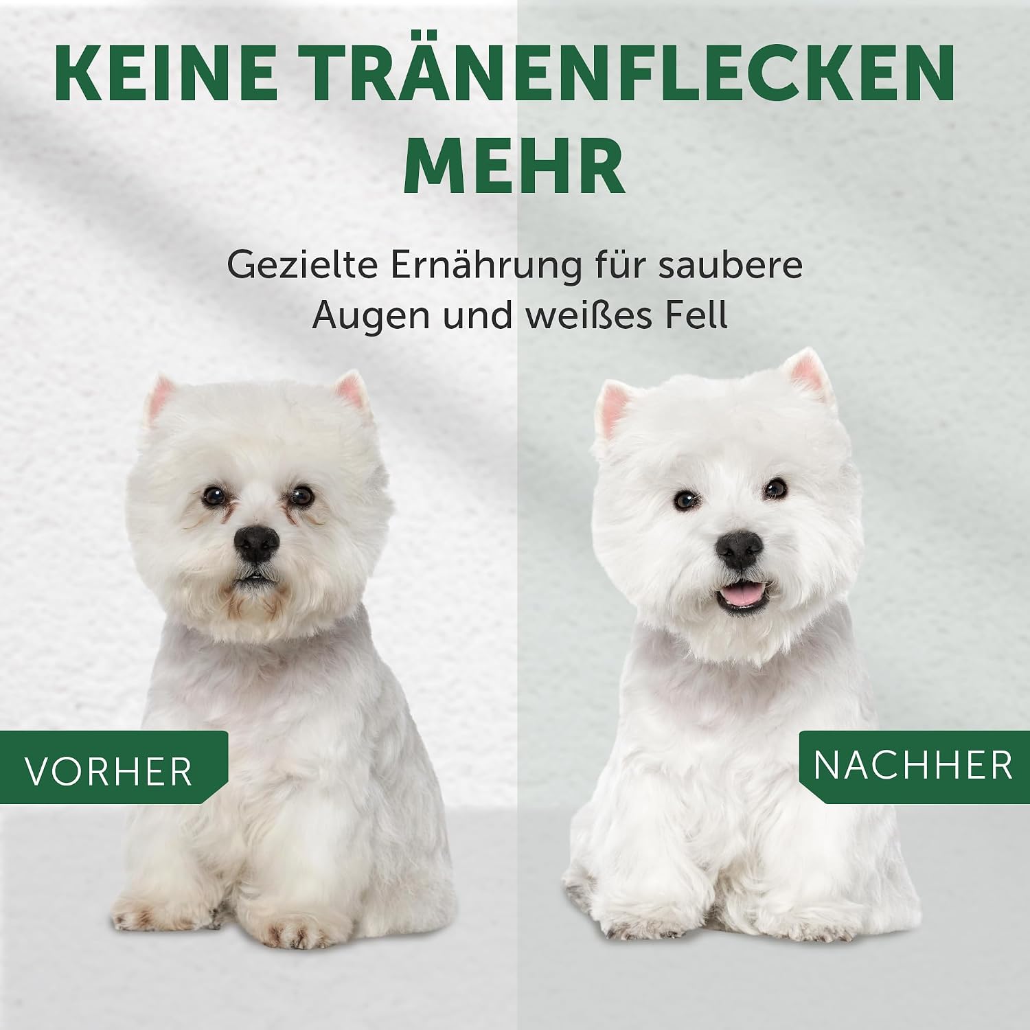 Nature's Protection Superior Care Trockenfutter Lachs getreidefrei ve