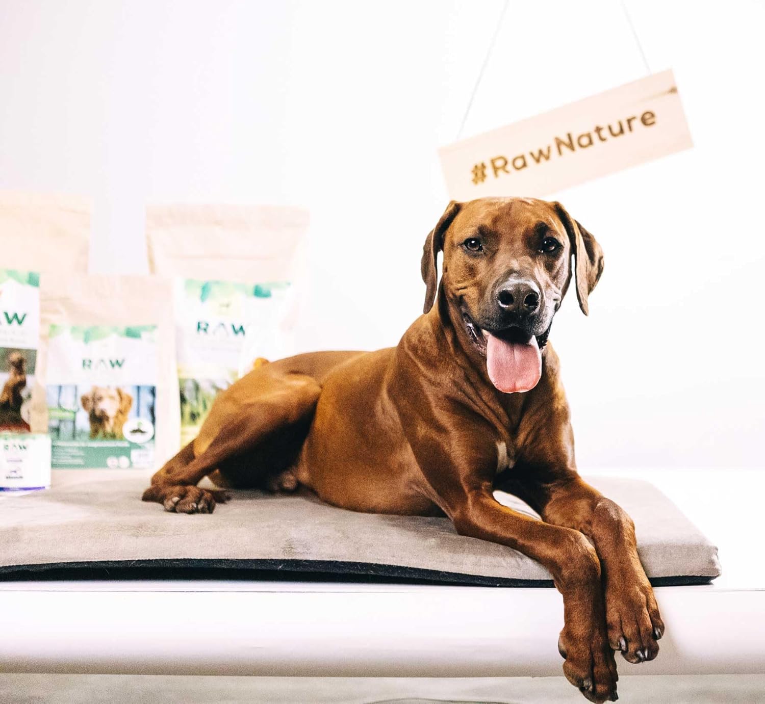 RAW Nature Trockenfutter Adult Huhn getreidefrei hoher Fleischanteil ve