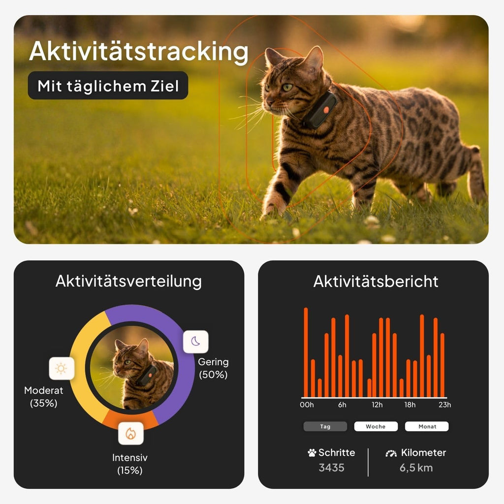 Weenect XS GPS Katzen Tracker mit Halsband, Echtzeit Ortung, ohne Distanzlimit