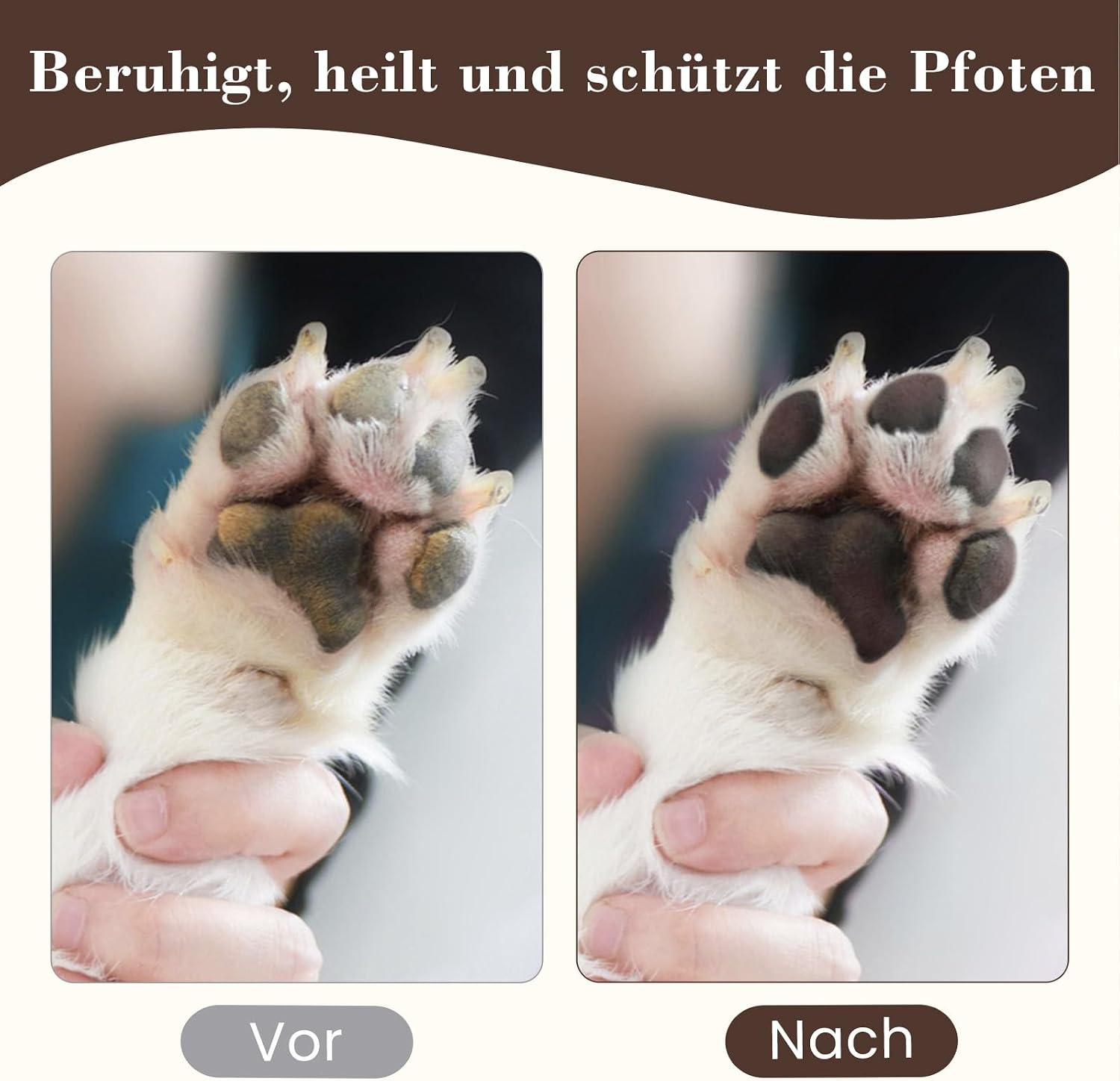 Pfotenbalsam Hund 68 g Stick Pfotenpflege Pfotenschutz regenerierend