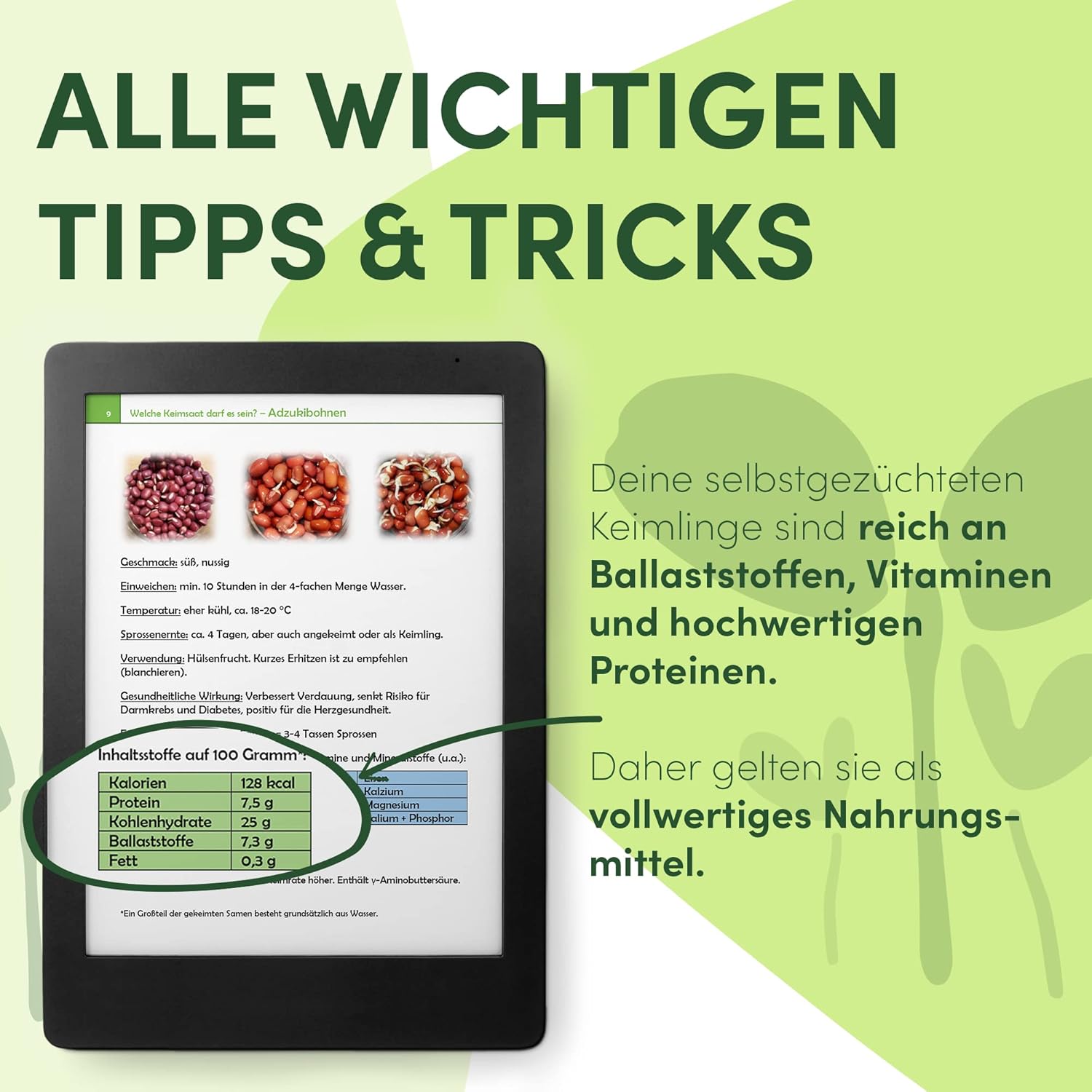 Kressesieb Keramikschale mit Edelstahlsieb Kresse Anzuchtset