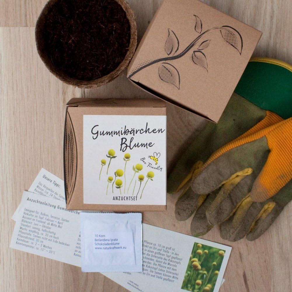 Gummibaerchenblume Anzuchtset 8,7cm Geschenk Pflanzset