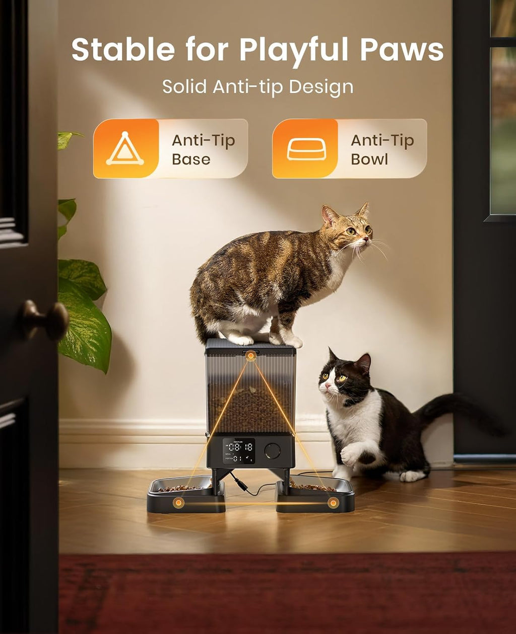 oneisall Katzenfutterautomat mit 2 Edelstahlnaepfen, App & Sprachaufnahme