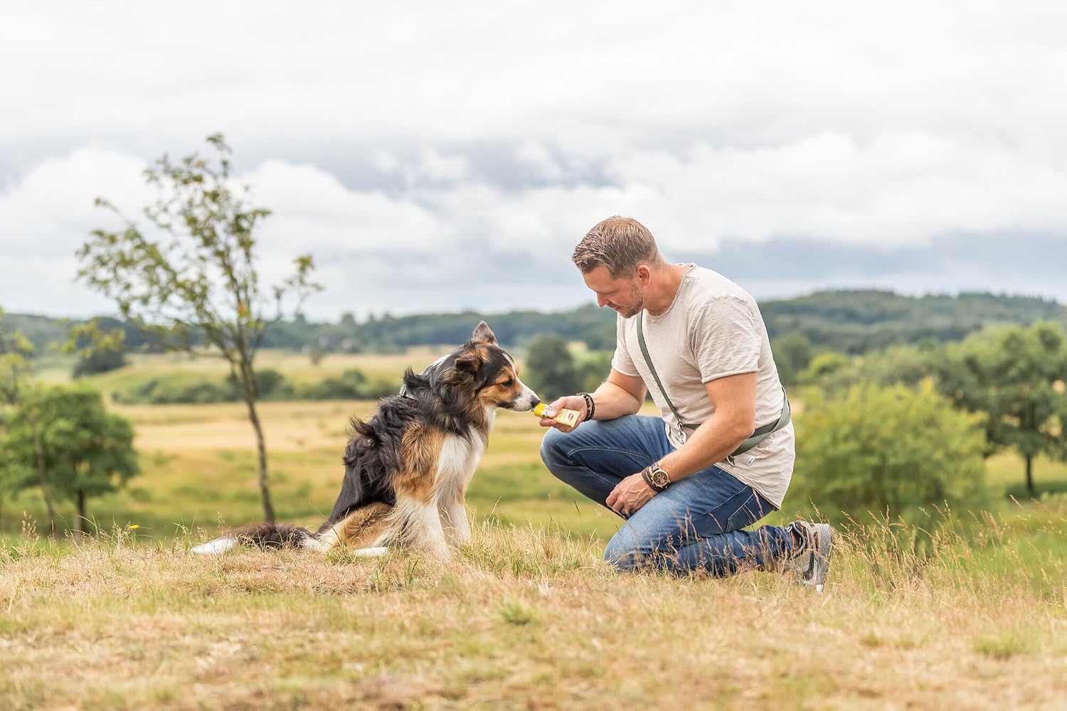 Trixie Premio Hundeleberwurst Hunde Leckerli glutenfrei ohne Zucker -30