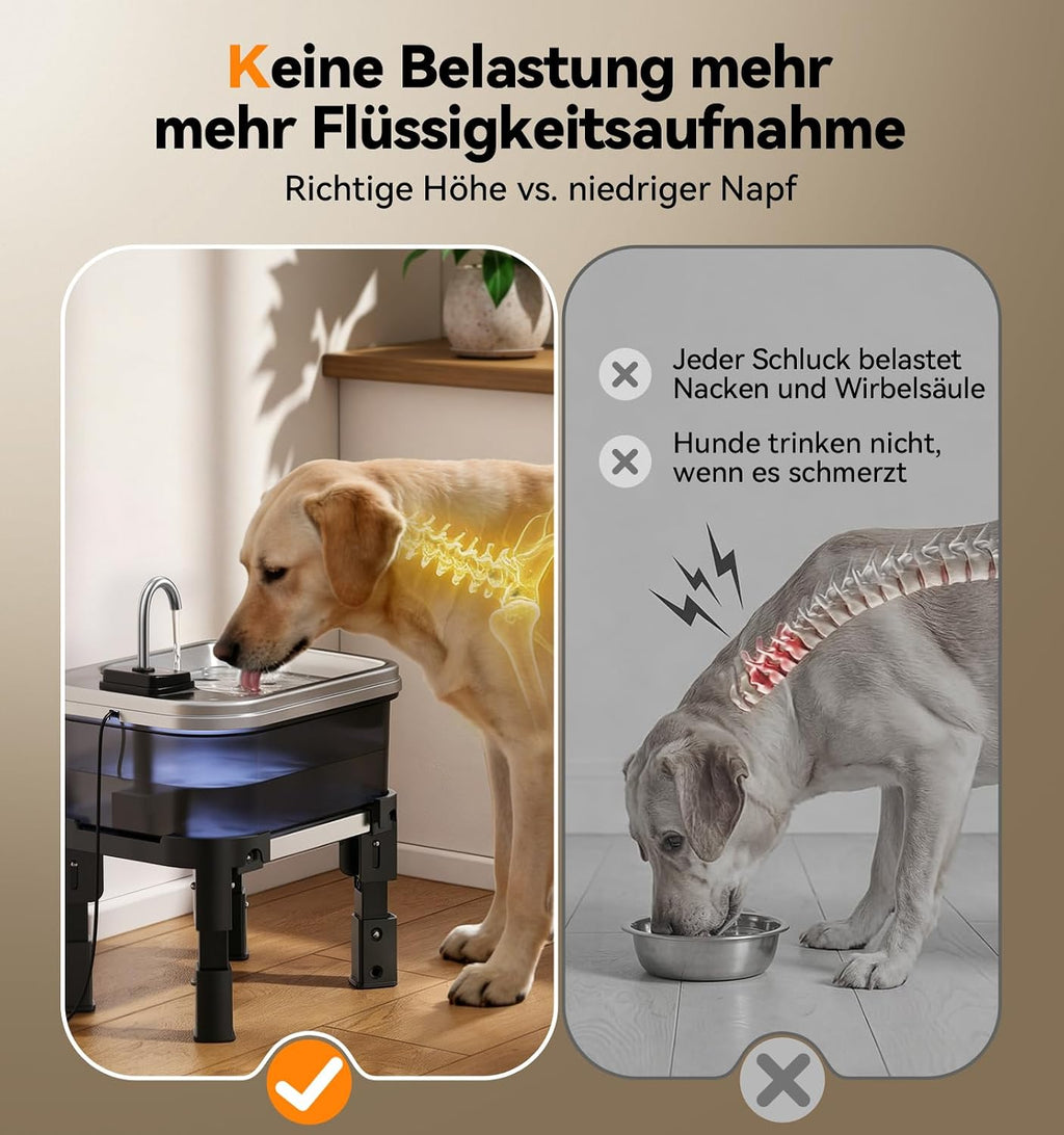 FEELNEEDY Hundetrinkbrunnen mit Edelstahlwanne, 3 Stufen Filterung