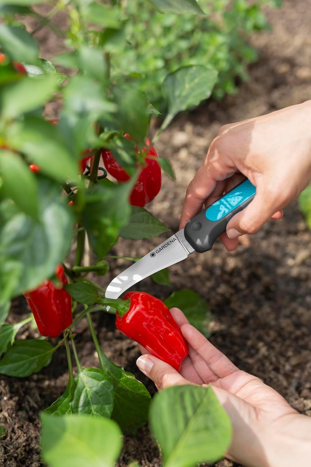 Gardena VeggieCut Erntemesser Edelstahl rutschfester Griff Guertel-Schleife