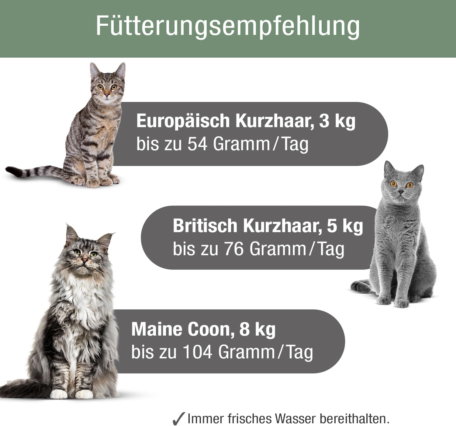 Katzenfutter MeatCrisp Adult Chicken 1,5kg 83% Frischfleisch Trockenfutter