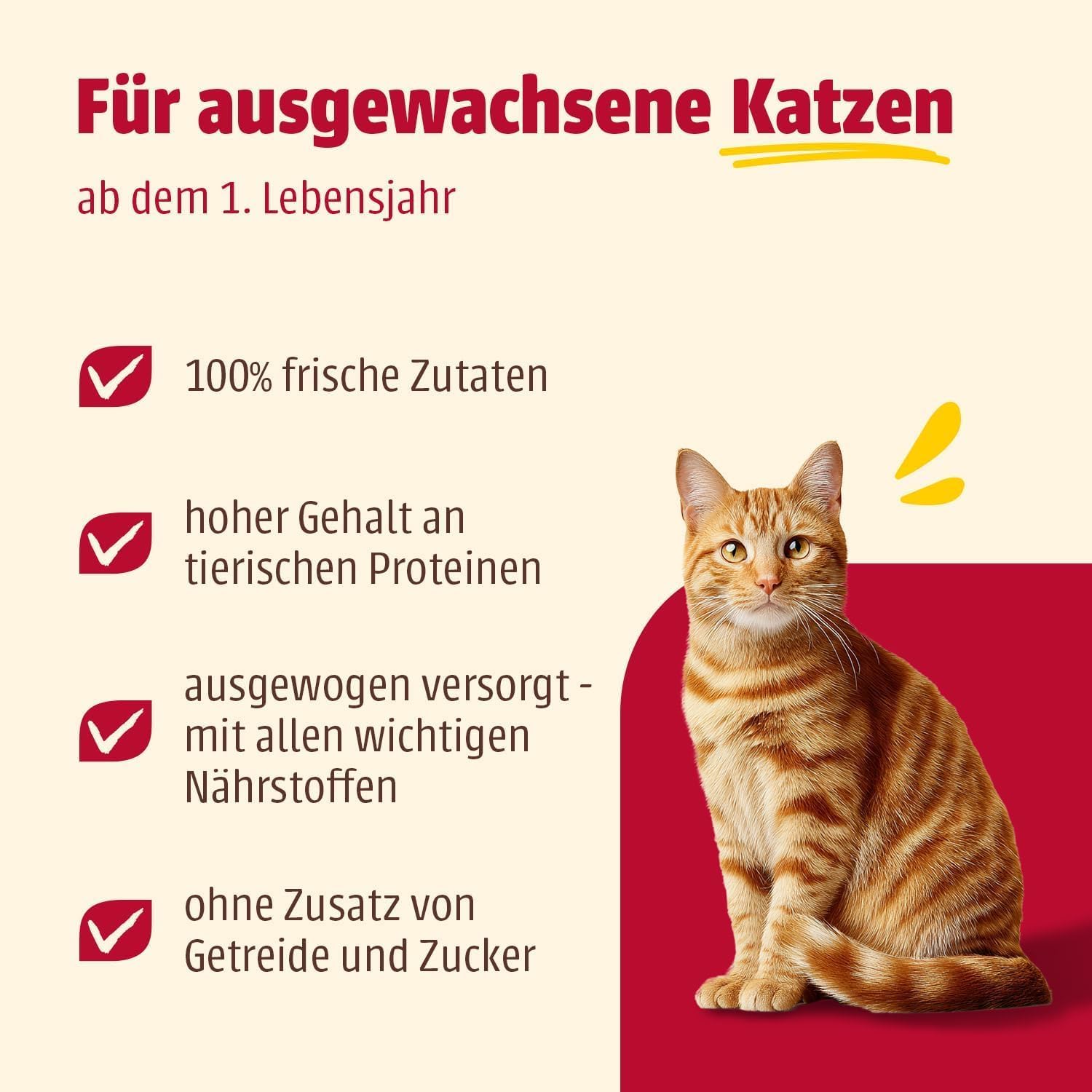 Animonda Carny Country Katzenfutter nass 6x100g Home Mix getreidefrei