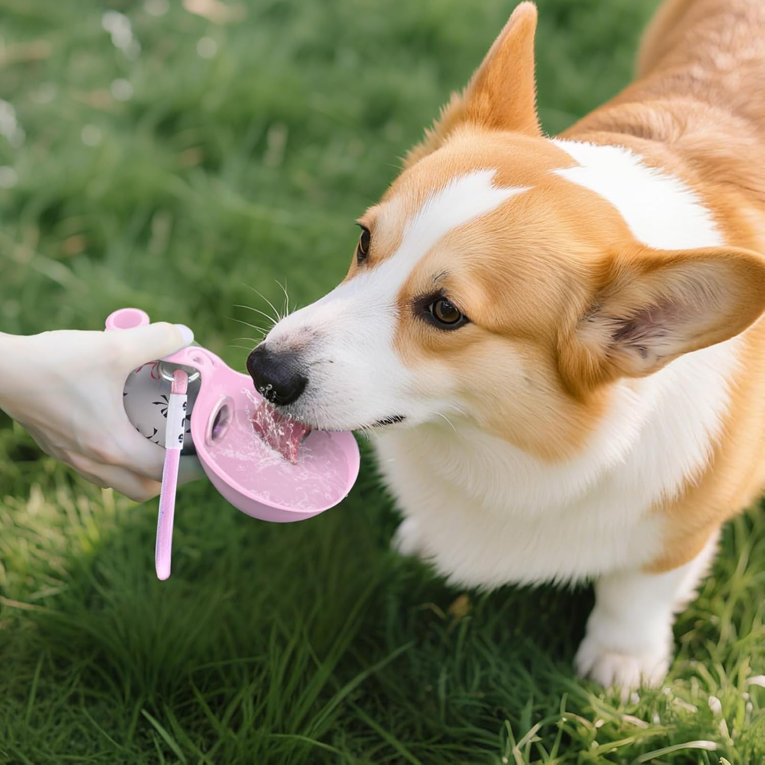 Hunde Trinkflasche Edelstahl mit faltbarem Silikonnapf Auslaufsicher Rosa