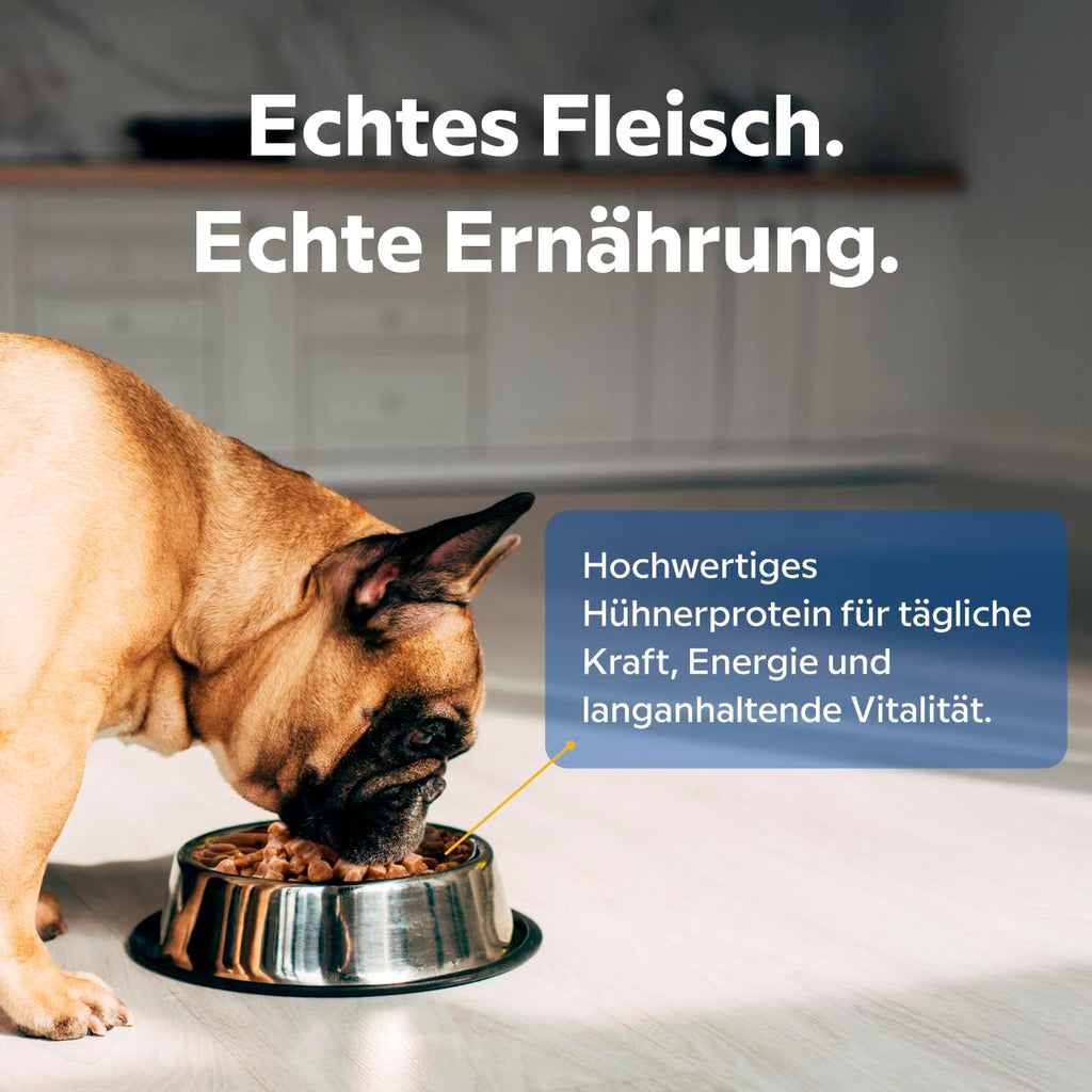 Lovely Hunter Nassfutter Huhn Sauce 12x85g fuer erwachsene Hunde verschiedene Sor